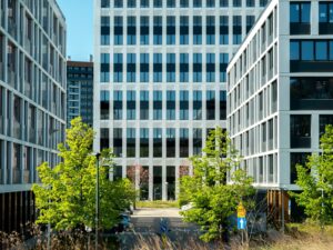 CLVPartners új szolgáltatása_DPO