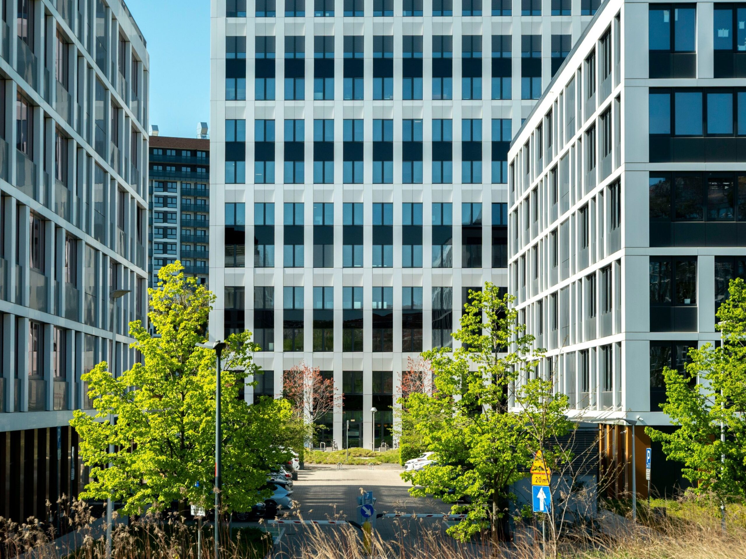 CLVPartners új szolgáltatása_DPO